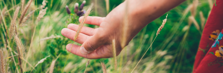 Three Aspects of the Quaker Understanding of Life