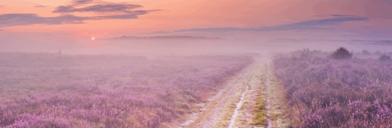 Spiritual Discipline